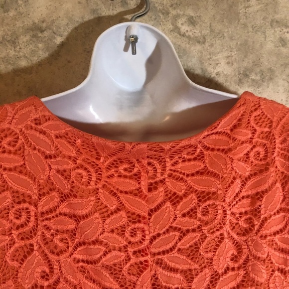 Sandra Darren Pull-Over Floral Lace Dress - Picture 11 of 13